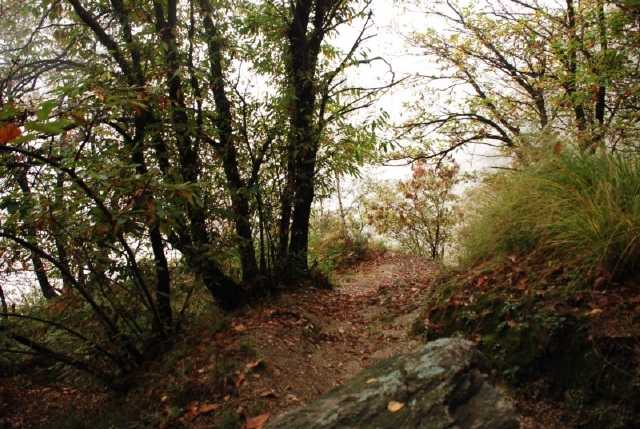 15799_gallery